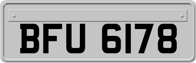 BFU6178
