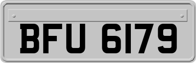 BFU6179