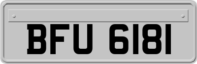 BFU6181