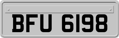 BFU6198