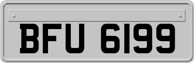 BFU6199