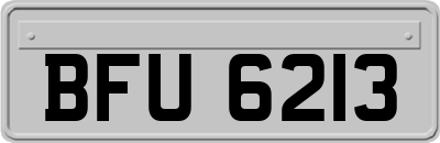 BFU6213