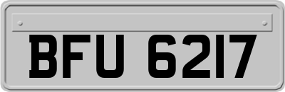 BFU6217