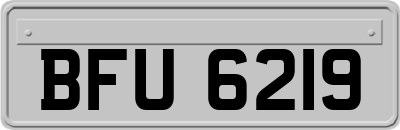 BFU6219
