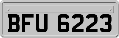 BFU6223