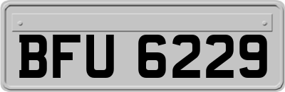 BFU6229
