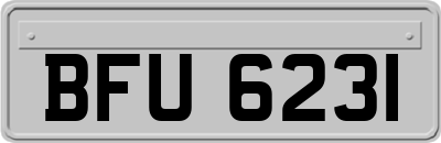 BFU6231