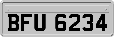 BFU6234