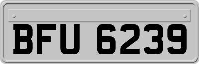 BFU6239
