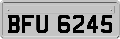 BFU6245