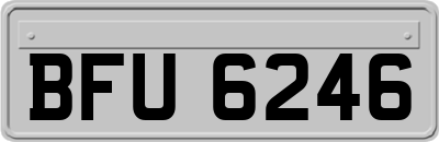 BFU6246