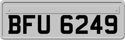 BFU6249