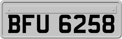 BFU6258