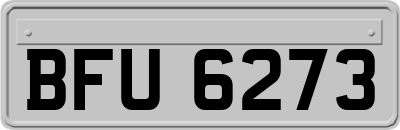 BFU6273