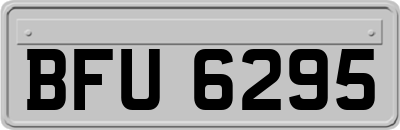 BFU6295