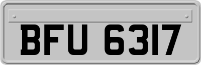 BFU6317