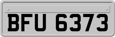 BFU6373
