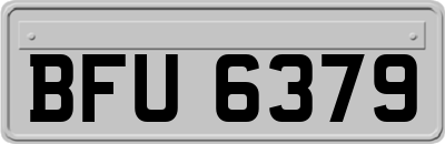 BFU6379