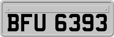 BFU6393