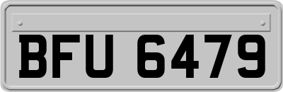 BFU6479