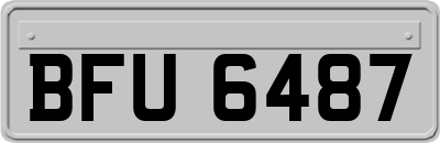 BFU6487