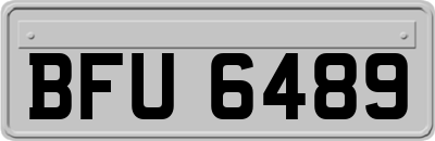 BFU6489