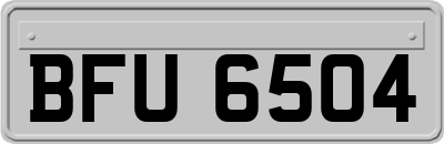 BFU6504