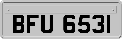 BFU6531