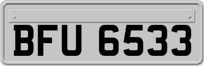 BFU6533