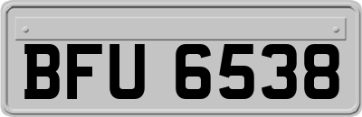BFU6538