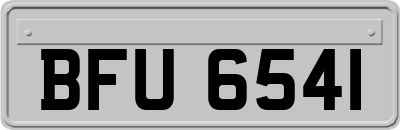 BFU6541