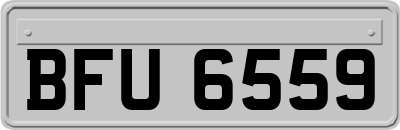 BFU6559