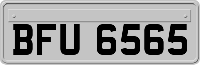 BFU6565