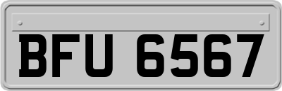 BFU6567