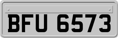 BFU6573