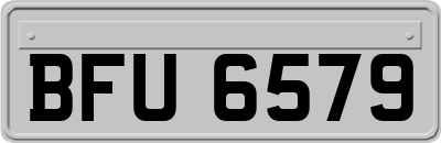 BFU6579