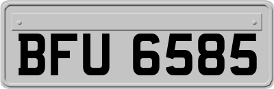 BFU6585