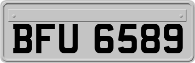 BFU6589
