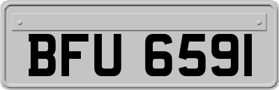 BFU6591