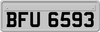 BFU6593