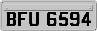 BFU6594