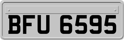 BFU6595