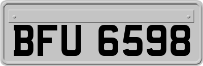 BFU6598
