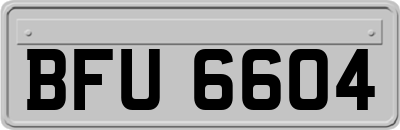 BFU6604