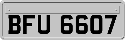 BFU6607