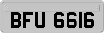 BFU6616