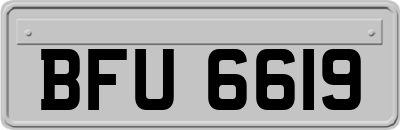 BFU6619