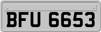 BFU6653