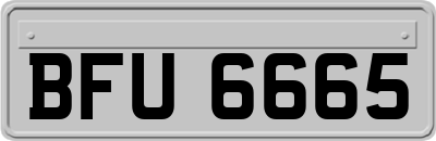 BFU6665