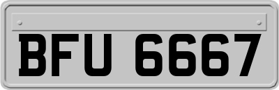 BFU6667